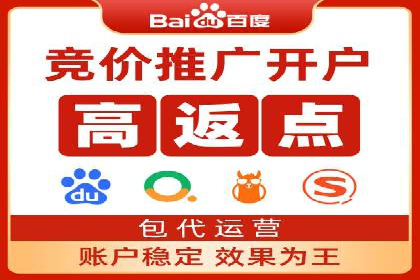 百度推广的投放策略与效果分析